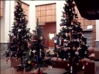 Test Image 1