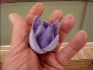 Test Image 1