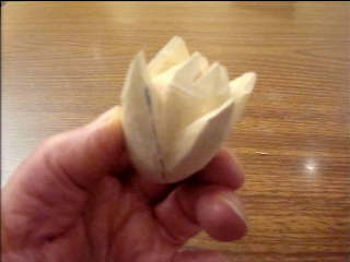 Test Image 1