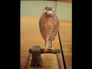 Test Image 1